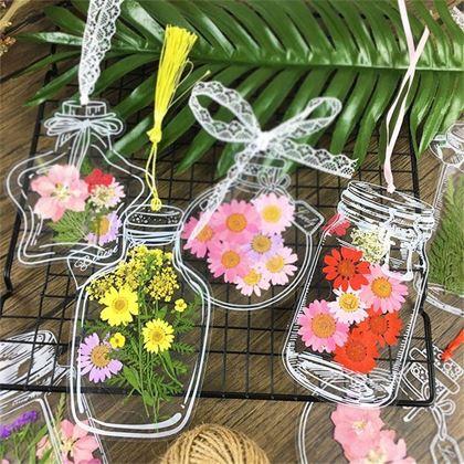 Obrazek z DIY herbarium - naklejki z suszonych kwiatów