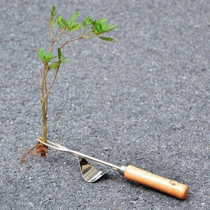 Obrazek z Wyrywacz chwastów z kołyską i drewnianą rączką
