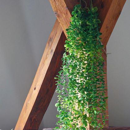 Obrazek z Sztuczna wisząca roślina 124 cm