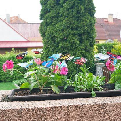 Obrazek z Ozdoba do doniczki 24 szt. – motyl