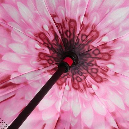 Obrazek z Odwrócony parasol  -  kwiat