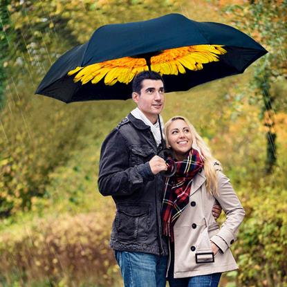 Obraz Odwrócony parasol 