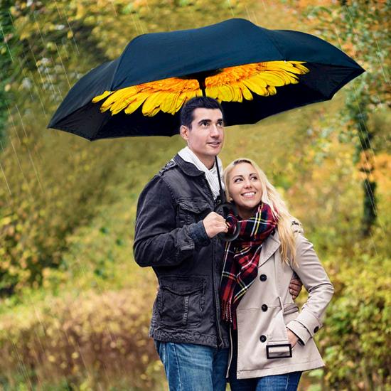 Obrazek z Odwrócony parasol  -  słonecznik