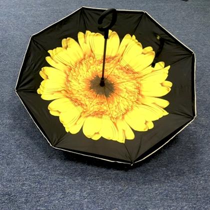 Obrazek z Odwrócony parasol  -  słonecznik