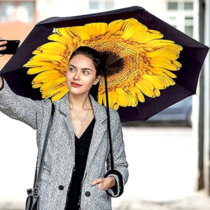 Obrazek z Odwrócony parasol  -  słonecznik