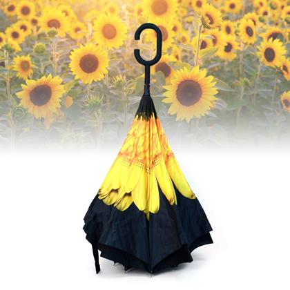 Obrazek z Odwrócony parasol  -  słonecznik