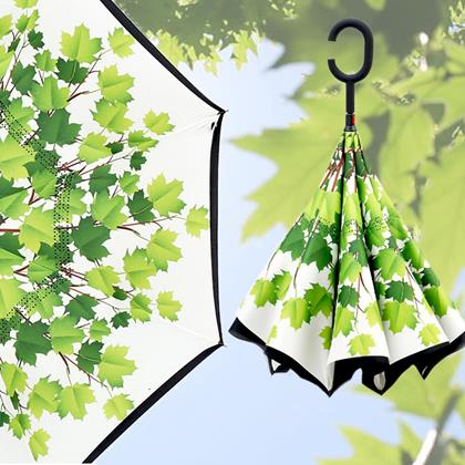 Obrazek z Odwrócony parasol  -  liście