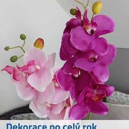 Obrazek z Sztuczne kwiaty orchidea -  jasnoróżowa