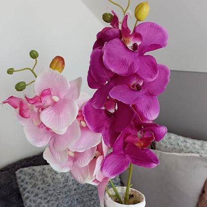 Obrazek z Sztuczne kwiaty orchidea - ciemnoróżowy