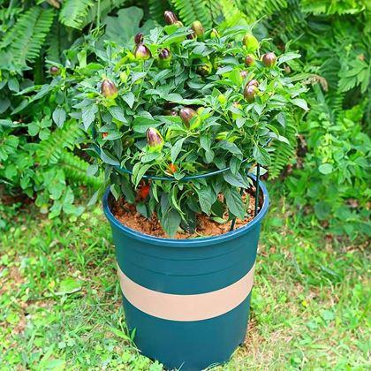 Obrazek z 2 szt. Metalowe podpory do roślin - 40 cm