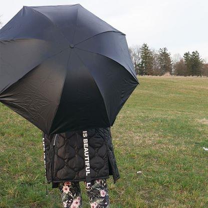 Obraz Składany parasol  -  białe płatki