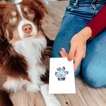 Obraz Zestaw do odcisku łapki